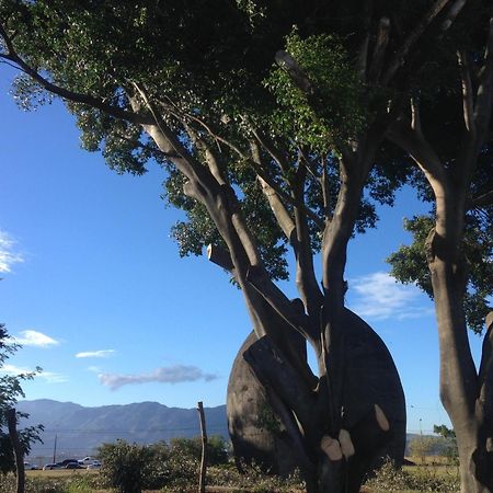 El-Cacique-Guesthouse-Since-2003 Rio Segundo ภายนอก รูปภาพ